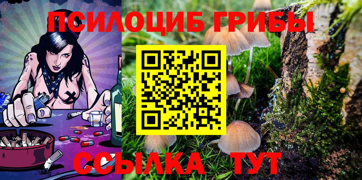 Галлюциногенные грибы Psilocybe Кимры